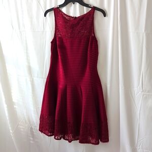 The Limited Lace Red Dress